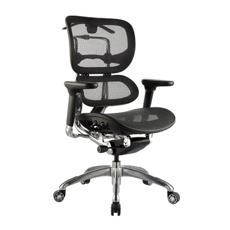 Ergo Executive Mesh Chair