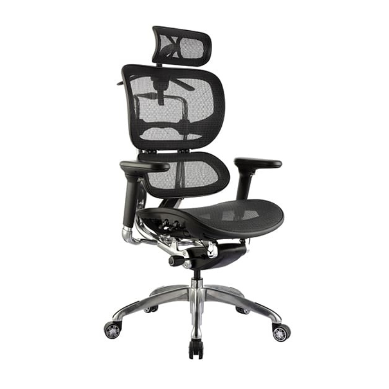 Ergo Executive Mesh Chair