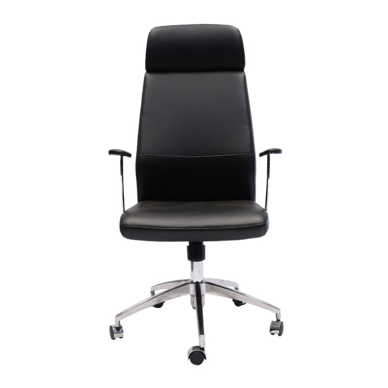 CL3000 High Chair