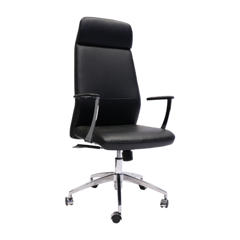 CL3000 High Chair